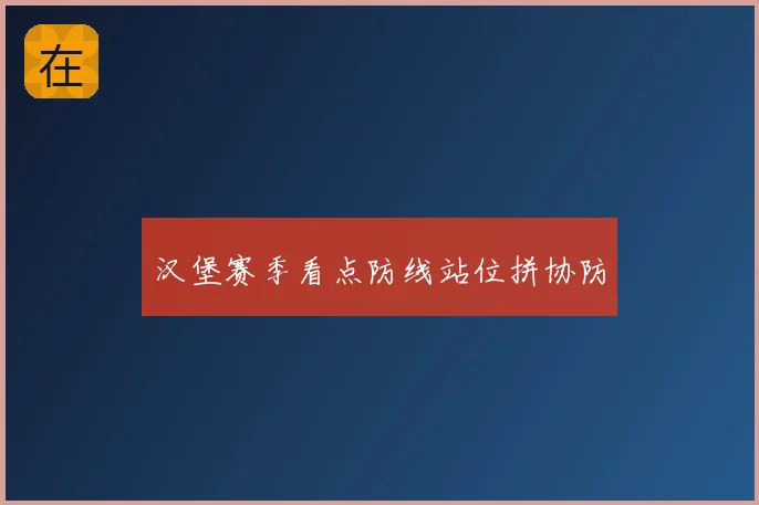 汉堡赛季看点防线站位拼协防